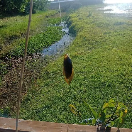 Casa Na Lagoa Do Palmital Com Acesso A Lagoa Na Propriedade E Localizada Apenas A 13 Km Da Praia De Atlantida Sul E Do Centro De Osorio Lugar Com Natureza! Wi-Fi Exterior photo