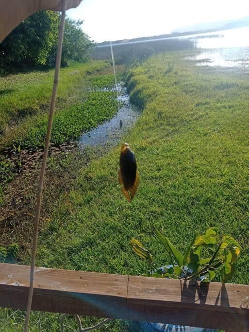 Casa Na Lagoa Do Palmital Com Acesso A Lagoa Na E Localizada Apenas A 13 Km Da De Atlantida Sul E Do Centro De Lugar Com Natureza! Wi-fi Holiday home